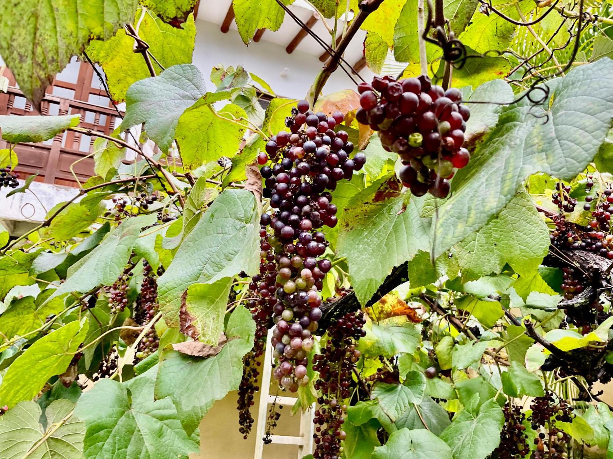 شقة Casona El Retiro باريكارا المظهر الخارجي الصورة